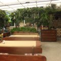 Pansion Mariza 067