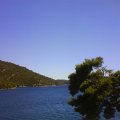 dsc00025