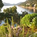 7.aromatical herbs course